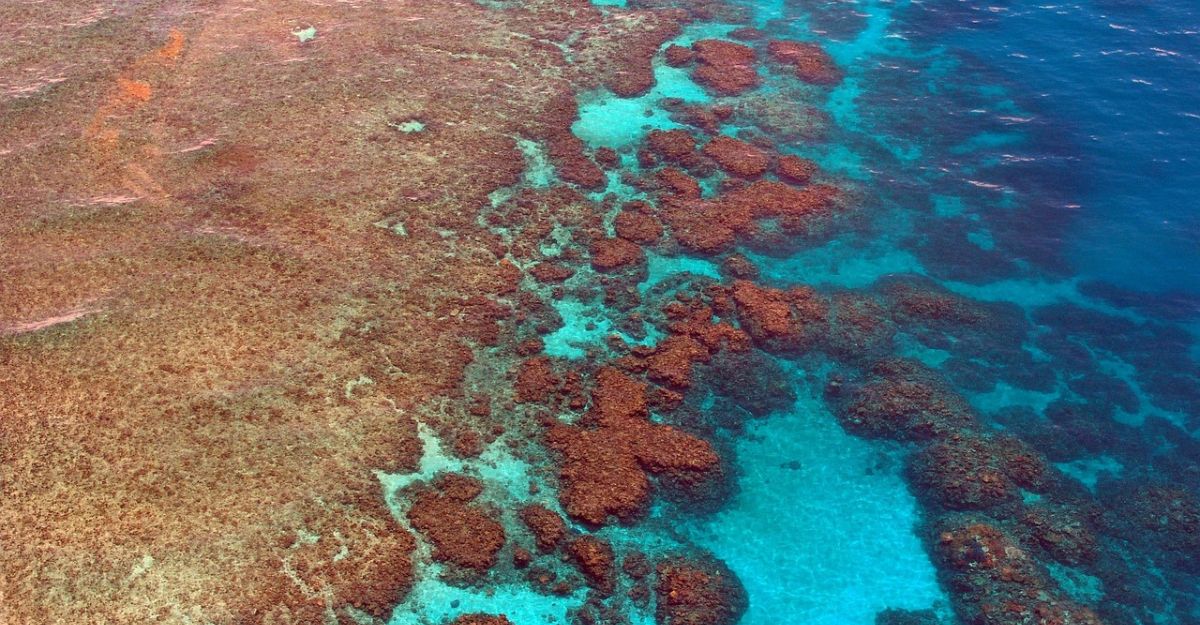 Great Barrier Reef, Queensland - Best Travel Destinations in Australia
