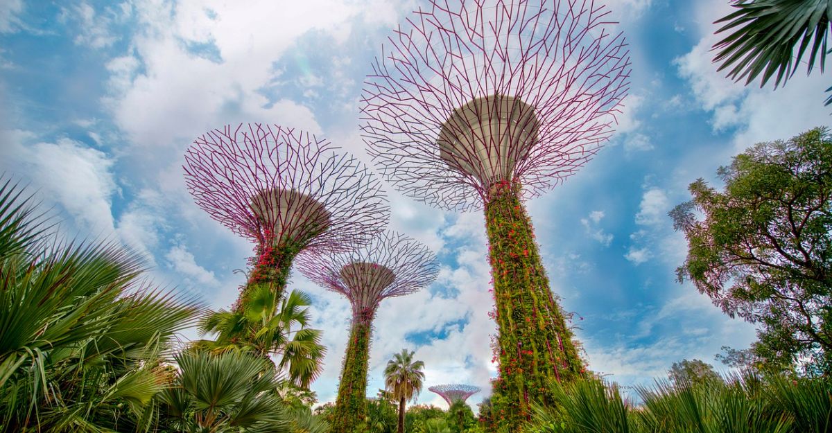 gardens by the bay