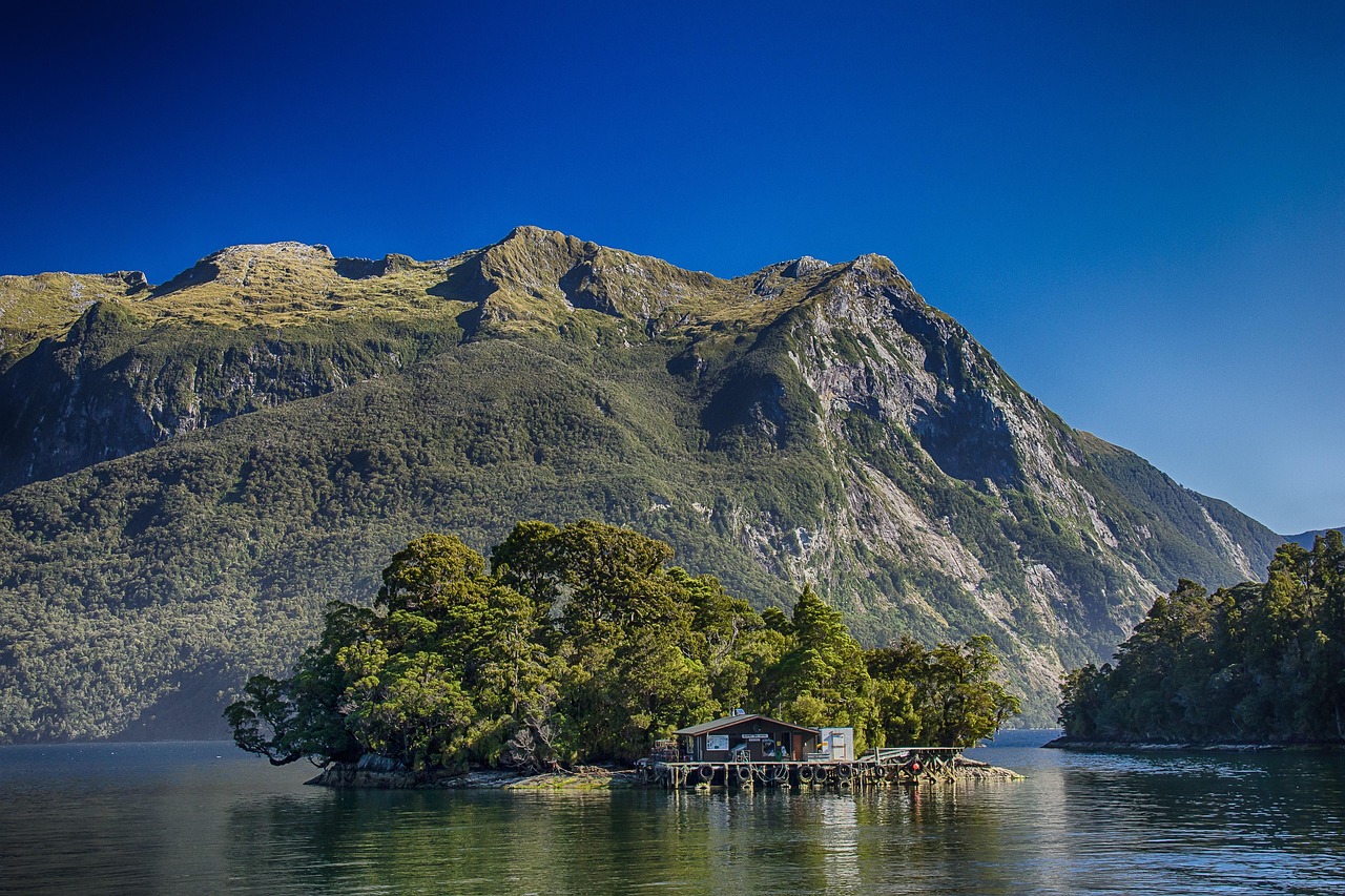 New Zealand